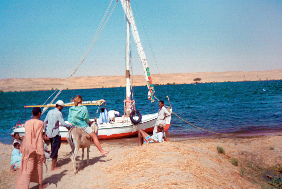 egypt-ladies-on-donkey