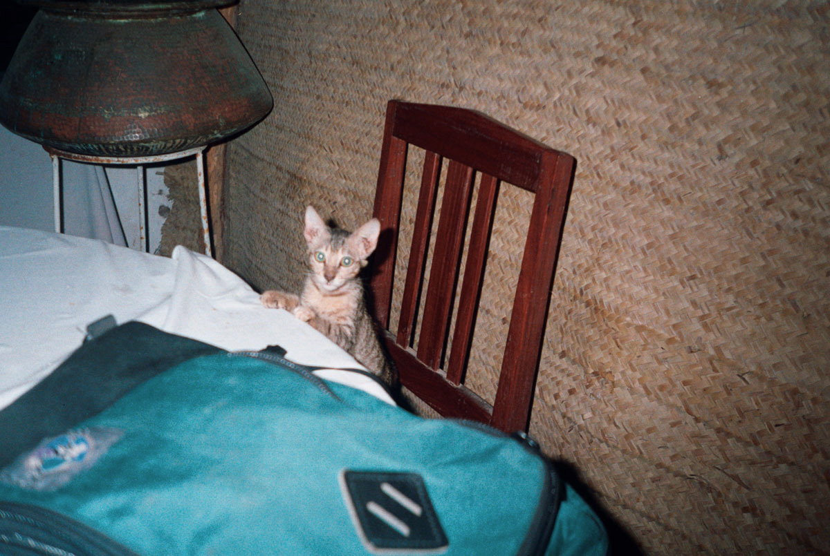 kenya-breakfast-friend-in-lamu