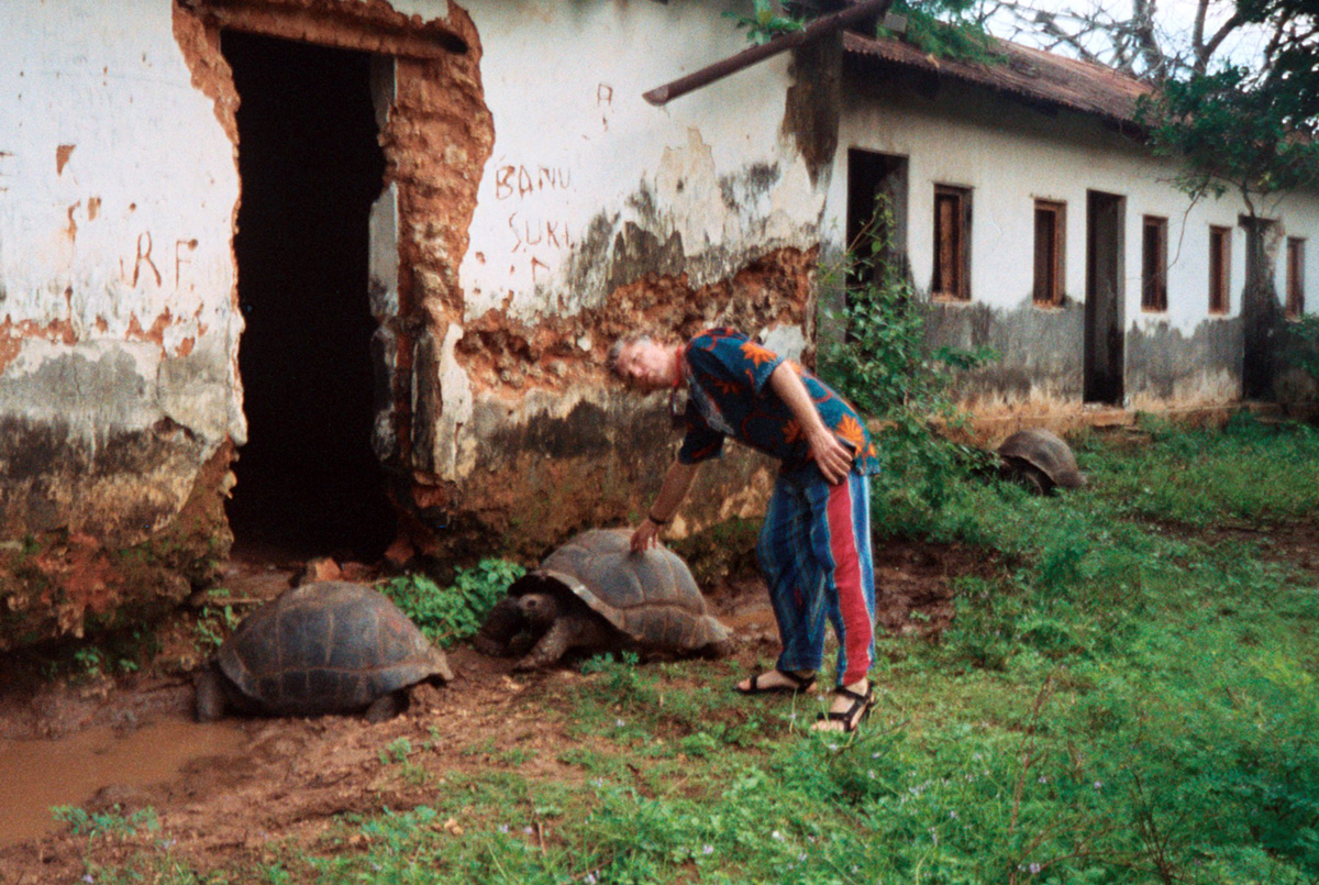 zanzabar-turtles-outside-slave-prison